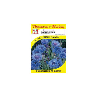 Cornflower Dwarf Jubilee Gem Seeds