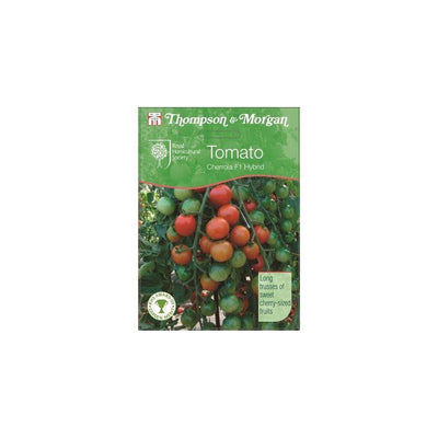 Tomato Cherrola F1 Hybrid Seeds