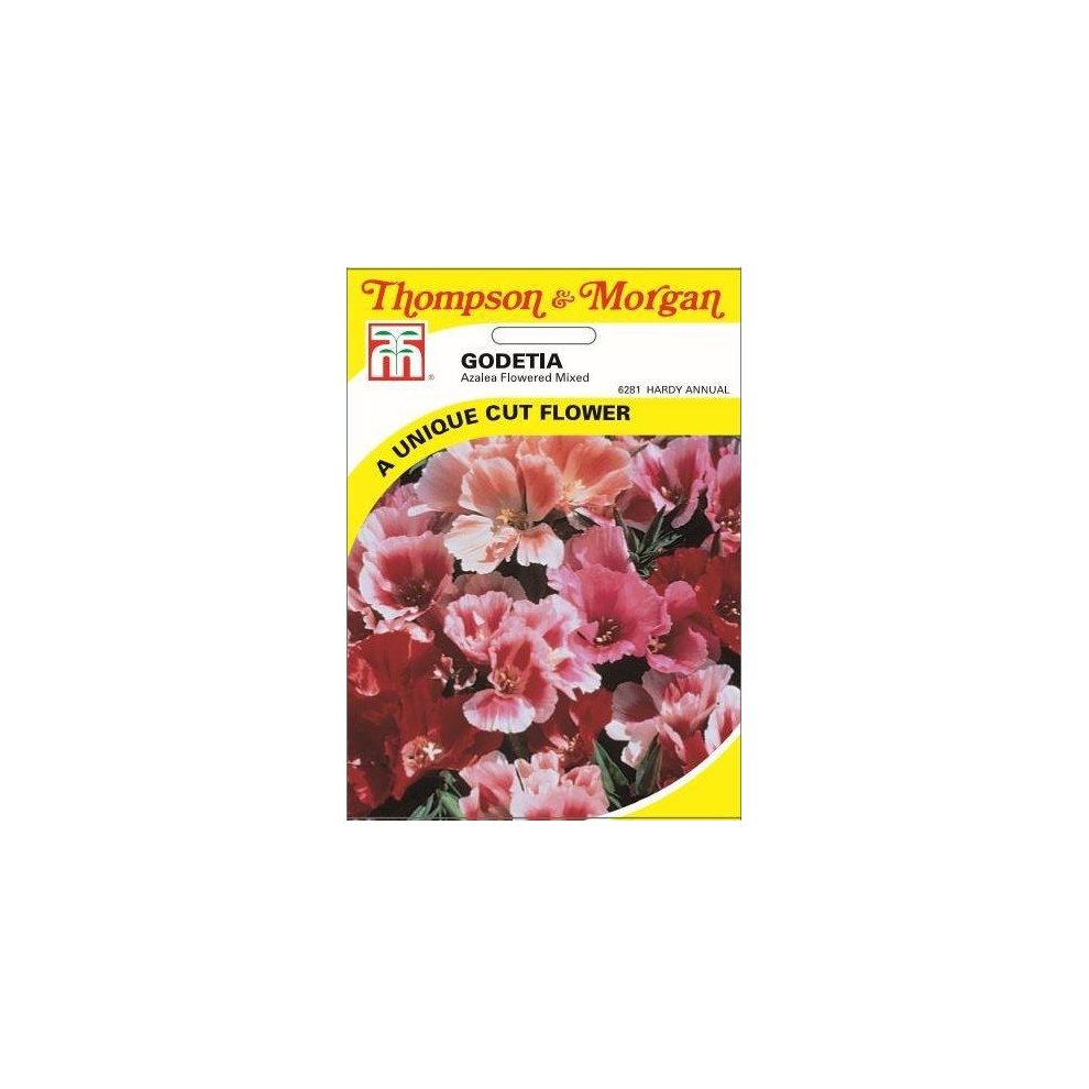 Godetia Azalea Flowered Mixed Seeds