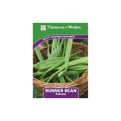 Runner Bean Polestar Seeds