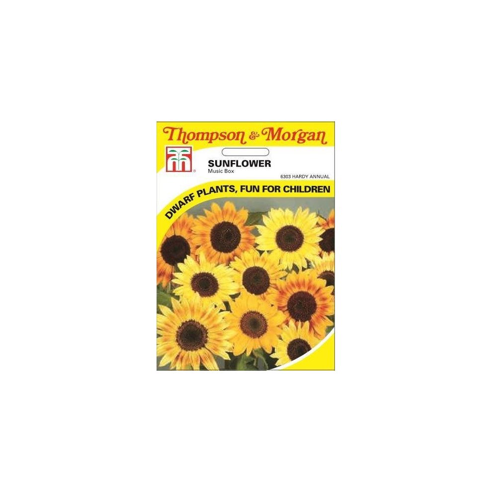 Sunflower Music Box Seeds