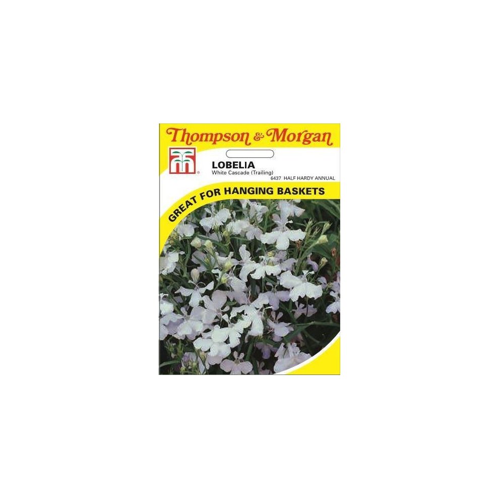 Lobelia Trailing White Cascade Seeds
