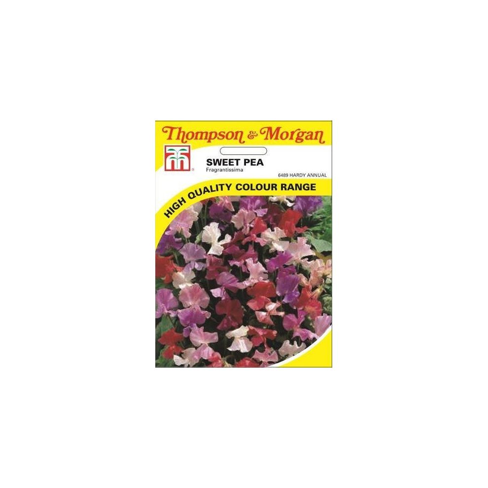 Sweet Pea Fragrantissima Seeds