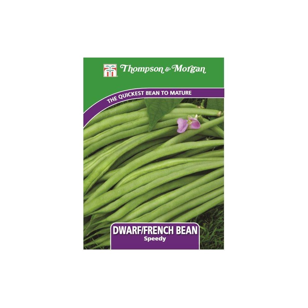 Thompson & Morgan - Vegetables - Dwarf Bean Speedy - 75 Seed