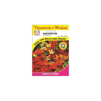 Nasturtium Climbing Mixed Seeds