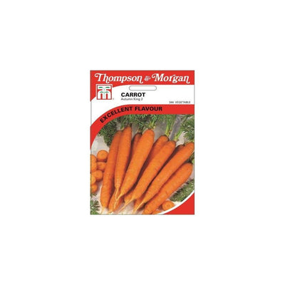 Carrot Autumn King 2 Seeds