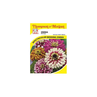 Zinnia Whirlygig Mixed Seeds