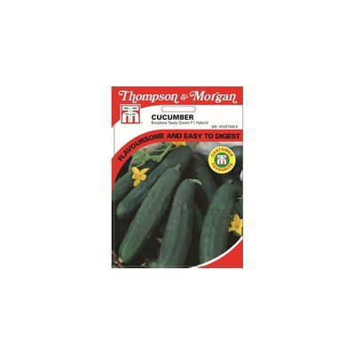 Cucumber Burpless Tasty Green Seeds