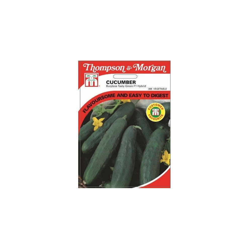 Thompson & Morgan - Vegetables - Cucumber Burpless Tasty Green - 10 Seed