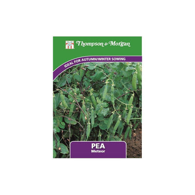 Pea Meteor Seeds