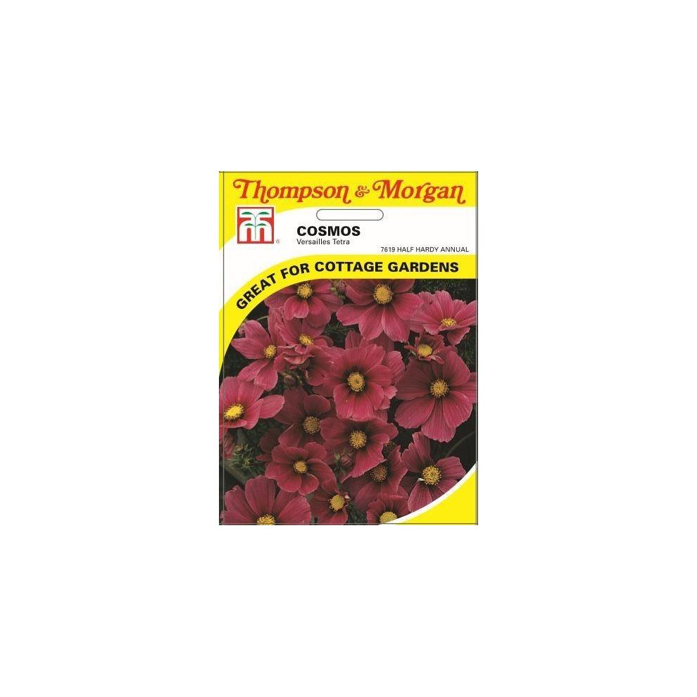 Cosmos Versailles Tetra Seeds