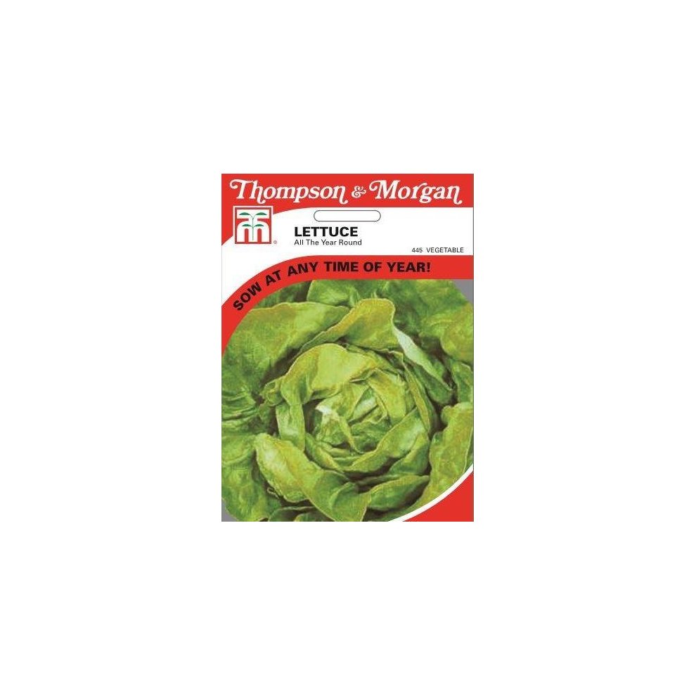 Lettuce All Year Round Seeds