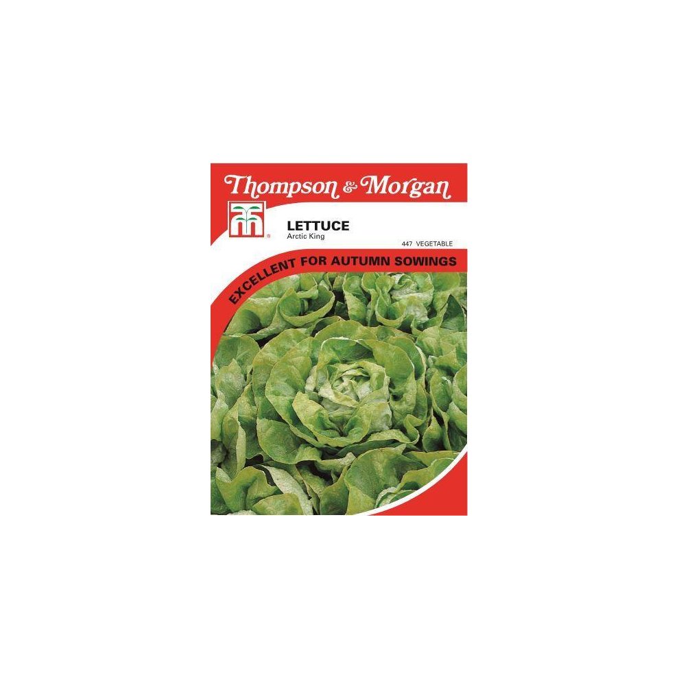 Lettuce Artic King Seeds