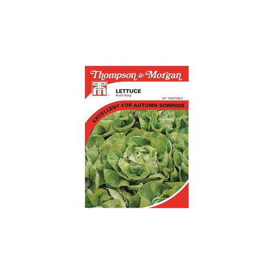 Lettuce Artic King Seeds