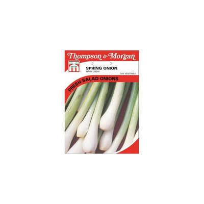 Spring Onion White Lisbon Seeds