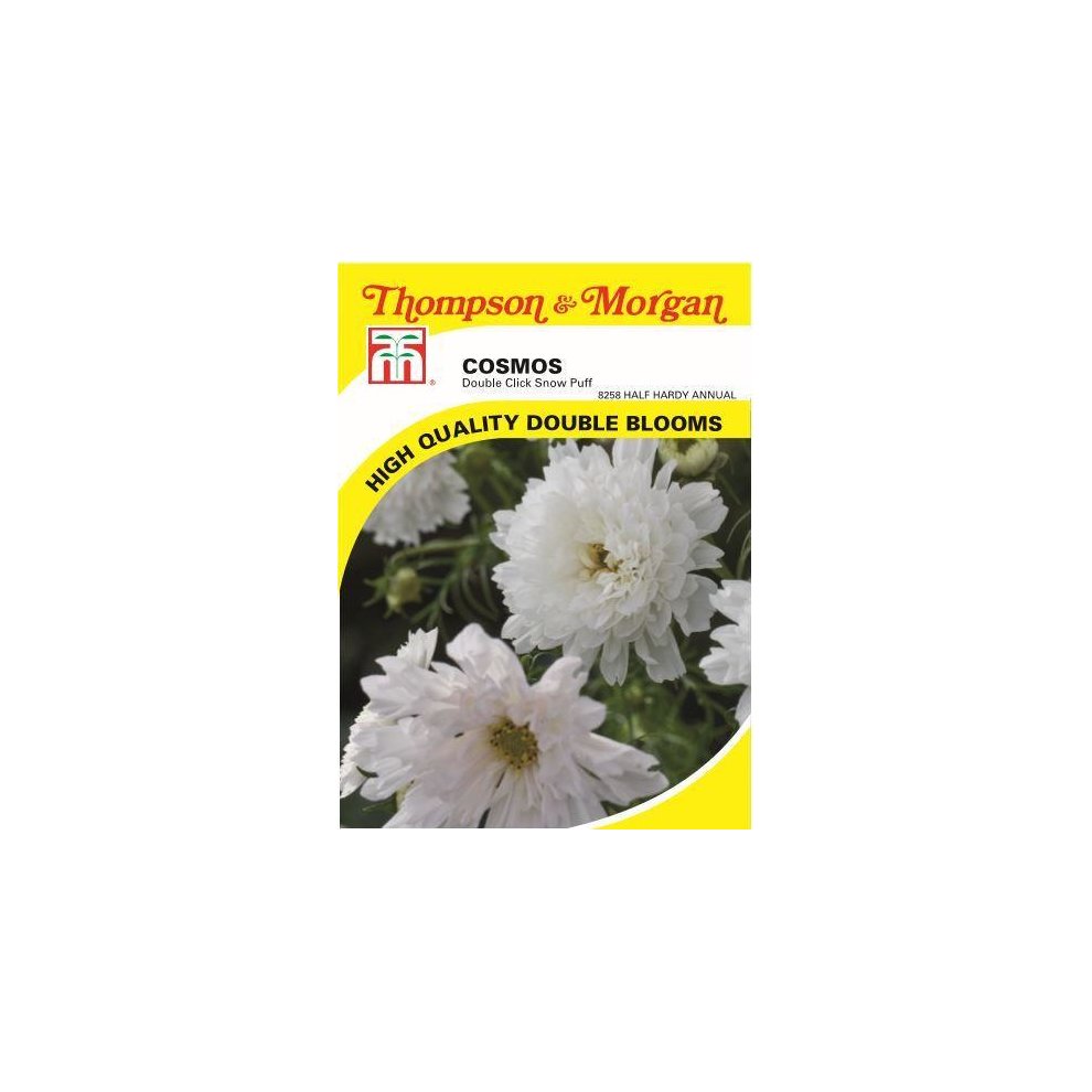 Cosmos Double Click Snow Puff Seeds