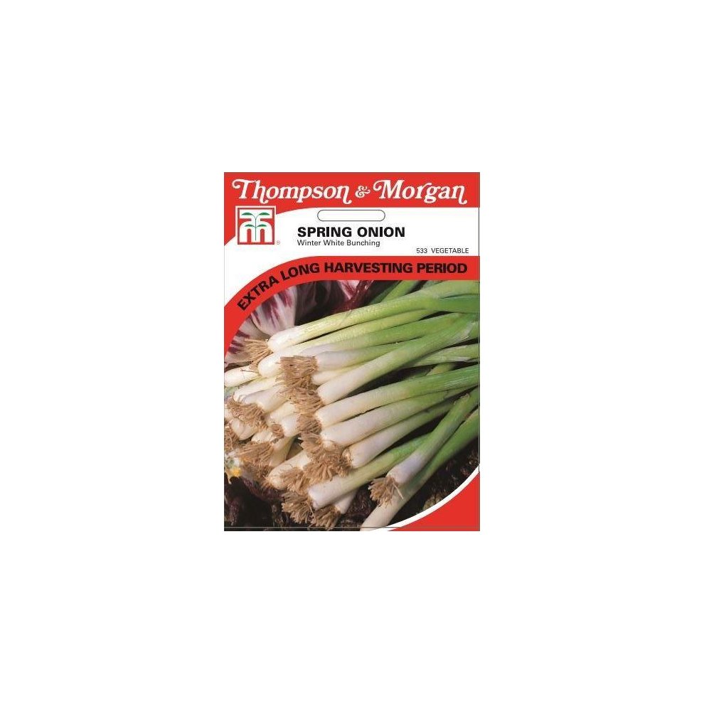Onion Paris Silverskin Seeds