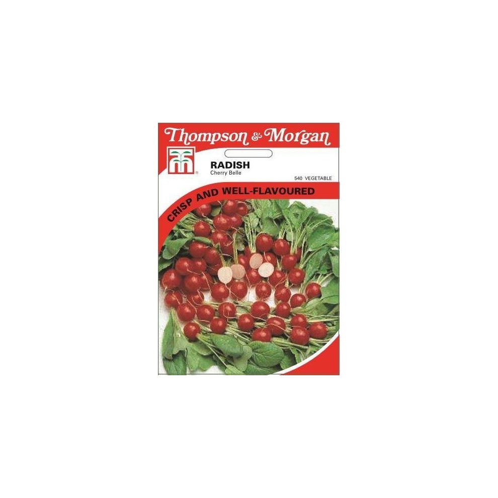 Radish Cherry Belle Seeds