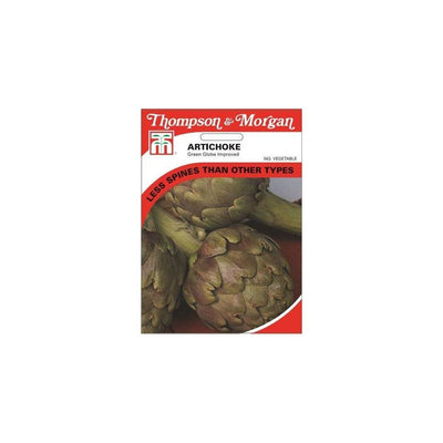 Artichoke Green Globe Seeds
