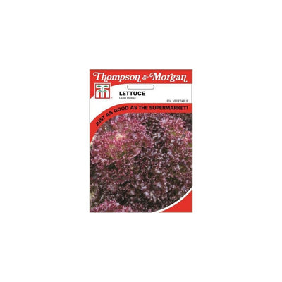 Lettuce Lollo Rossa Seeds