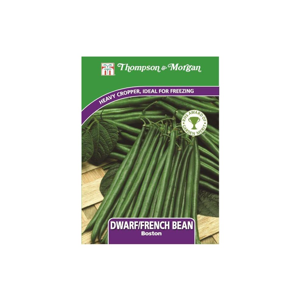 Thompson & Morgan - Vegetables - Dwarf Bean Boston - 100 Seed