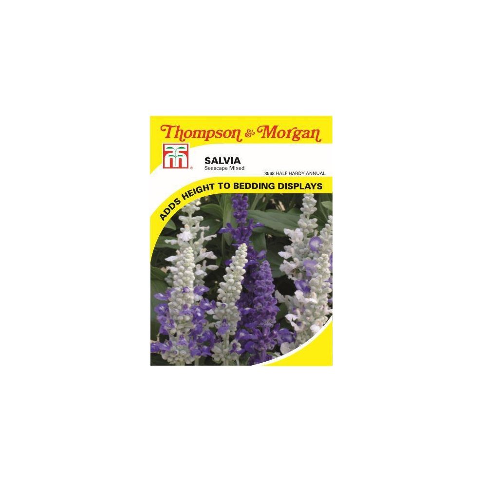 Salvia Seascape Mixed Seeds