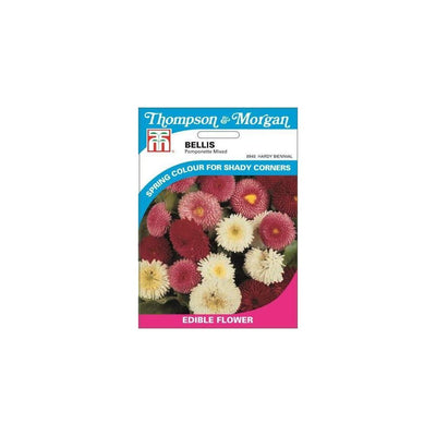 Bellis Pomponette Mixed Seeds