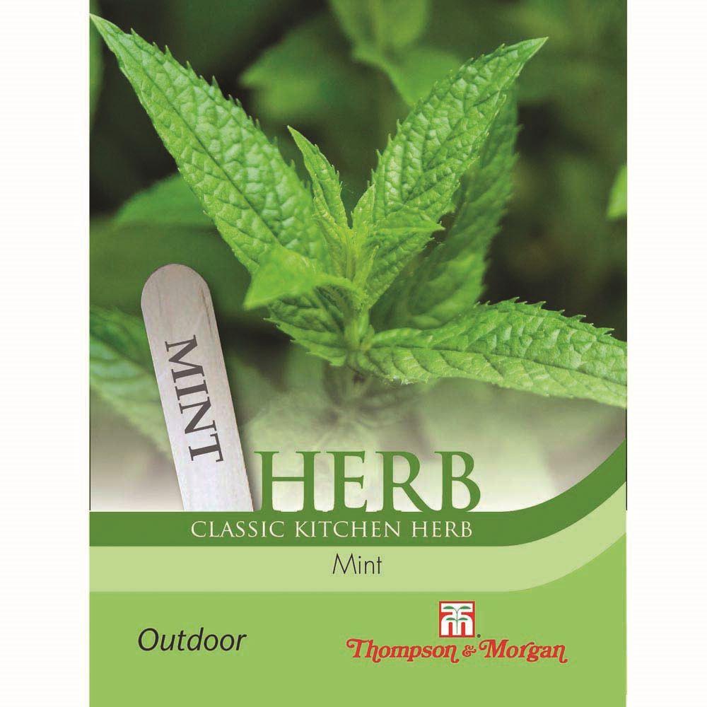 Thompson & Morgan Classic Kitchen Herb Mint seed packet showing fresh mint leaves and a Mint plant label