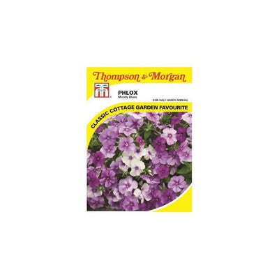 Phlox Drummondii Moody Blues Seeds