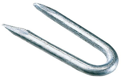 Basics Staples Galvanised 19mm 250g 6738