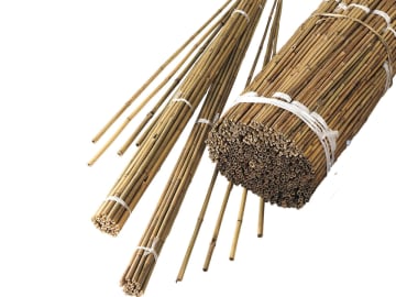 Gardman Bamboo Canes 2.4m Pack of 10 08091