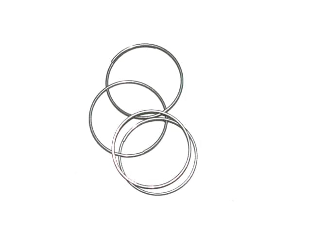 Homehard Plant Rings Zinc x 100 PRZ
