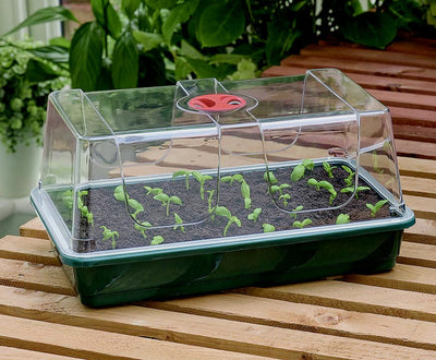 Garland High Dome Propagator Large G19