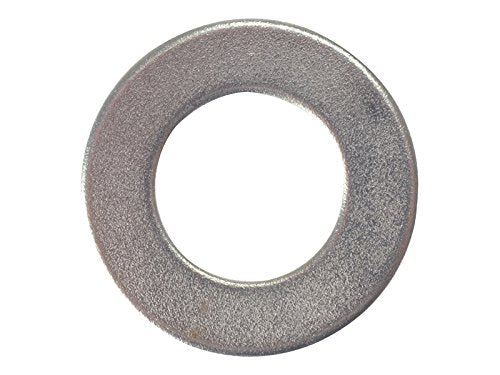 Forgefix Flat Washer Form B ZP M6 Bag 100
