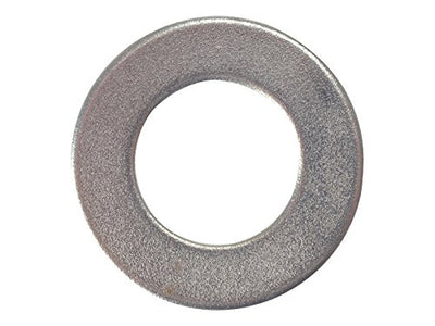Forgefix Flat Washer Form B ZP M6 Bag 100