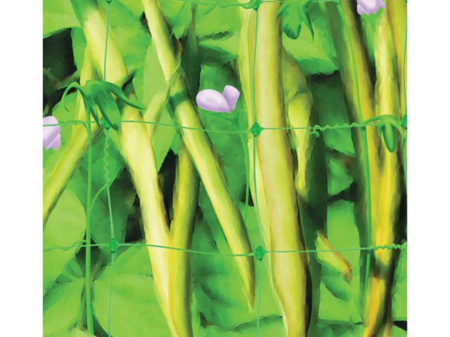 Apollo Pea & Bean Net Green 4m x 2m