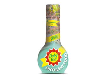 Baby Bio Succulent Food 175ml 86601743