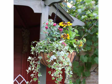 Smart Garden Hanging Basket 12 inch 6030020