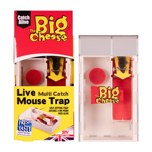 Live Multi-Catch Mouse Trap STV162
