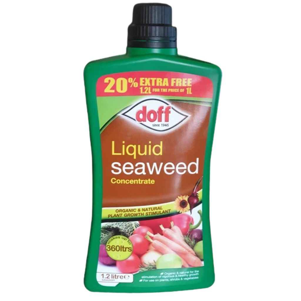 Doff Liquid Seaweed Concentrated 1.2L Extra Fill