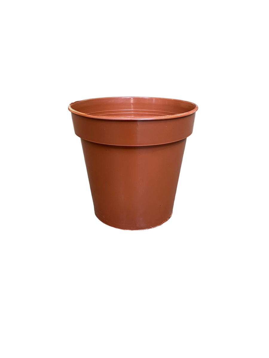Ward Plastic Flower Pot 7.6cm GN022