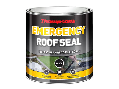 Thompson's Emergency Roof Seal 1L