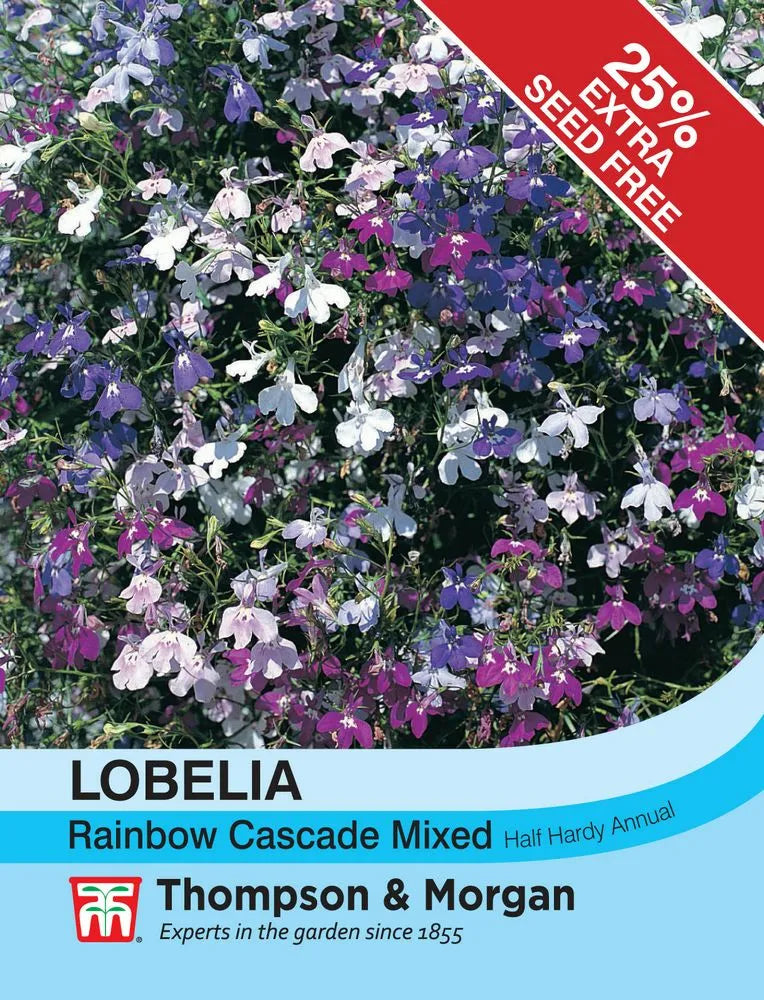 Thompson & Morgan Lobelia Rainbow Cascade Mixed seed packet with 25% extra seed free banner