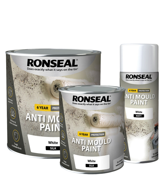 Ronseal 6 Year Anti Mould Paint White Matt 2.5L 36624