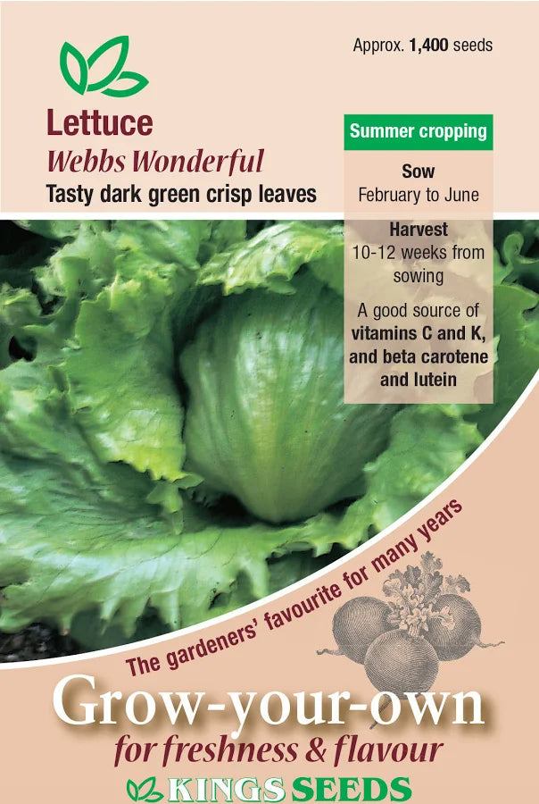 Kings Seeds Webbs Wonderful lettuce seed packet front showing a dark green crisp lettuce head