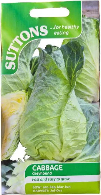 Suttons Cabbage Greyhound seed packet front showing pointed cabbage heads and sowing and harvest dates