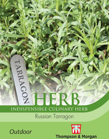 Thompson & Morgan Russian Tarragon herb seed packet front with plant photo