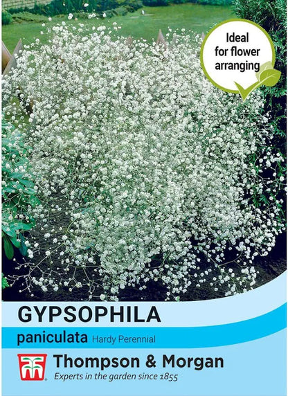 Thompson & Morgan Gypsophila paniculata seed packet showing a white baby's breath plant in bloom
