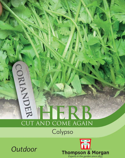 Thompson & Morgan Coriander Calypso herb seed packet showing cut-and-come-again coriander plants