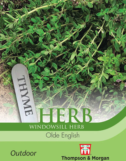 Thompson & Morgan Thyme Olde English windowsill herb seed packet front, showing green thyme foliage